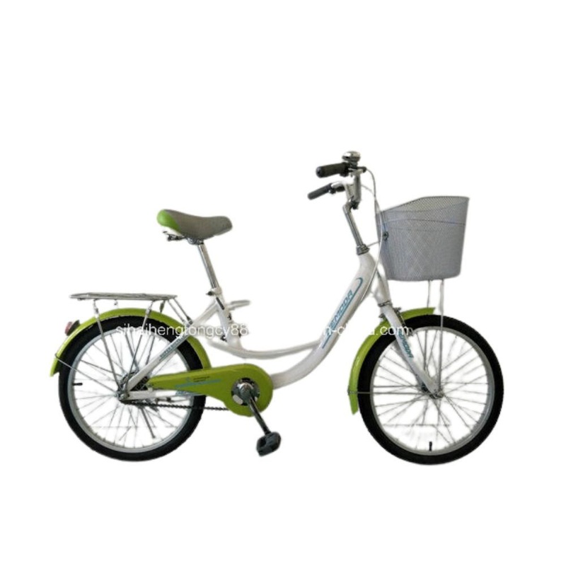 20 Inch Steel Lady Bicycle Street City Bike for Women Made in China