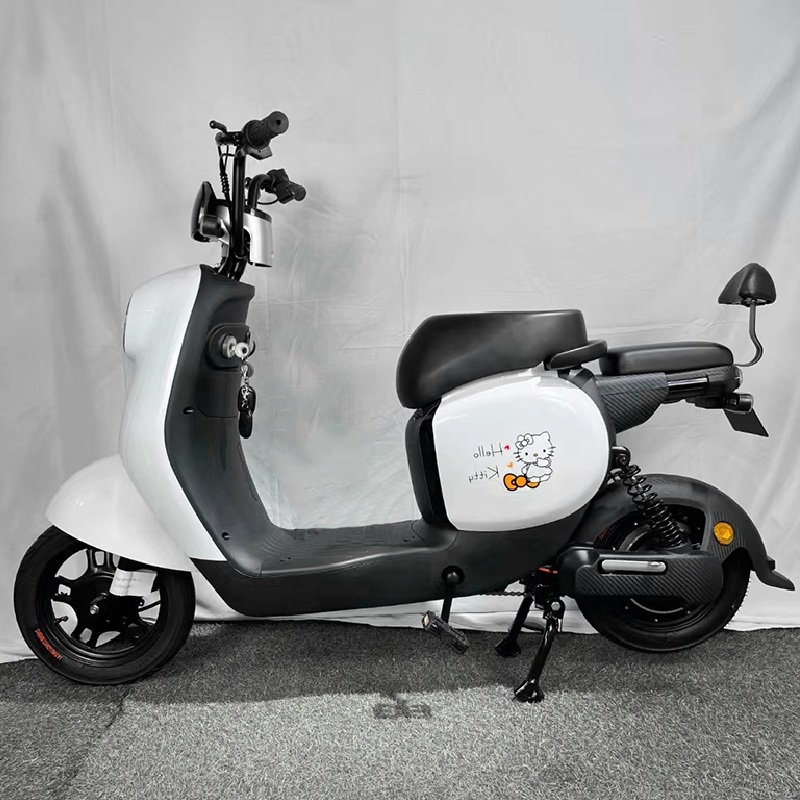 48V Cheap Electric Bicycle in China 2022/Electric Bike