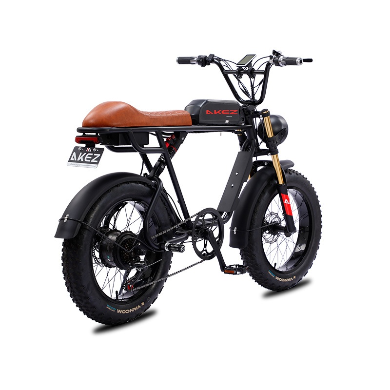 48V 750W 13ah 20-Inch Sustainable Lithium Electric Bike  Compact and Eco-Friendly Design