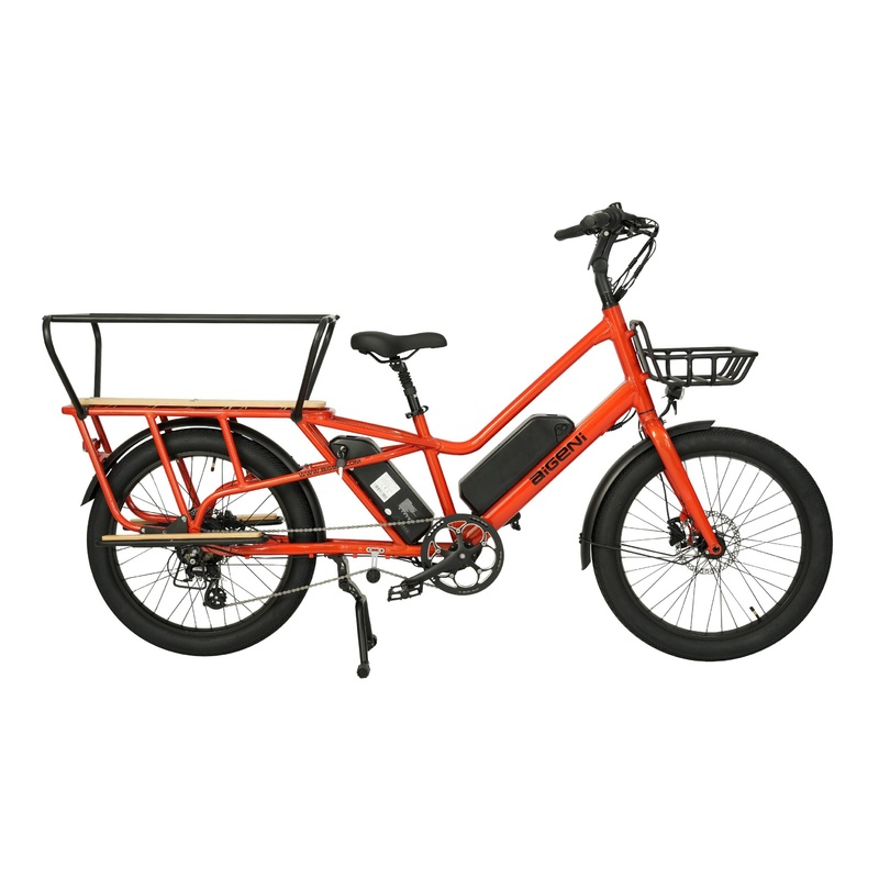 2024 Long Tail 2 Wheel Cargo Bike Electric Ebike Family E Bicycle Af2419