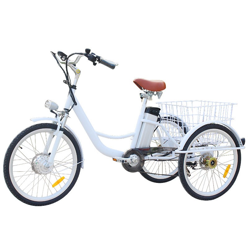 250 W Motor Electric 6 Speed Adult Tricycle Bike in France