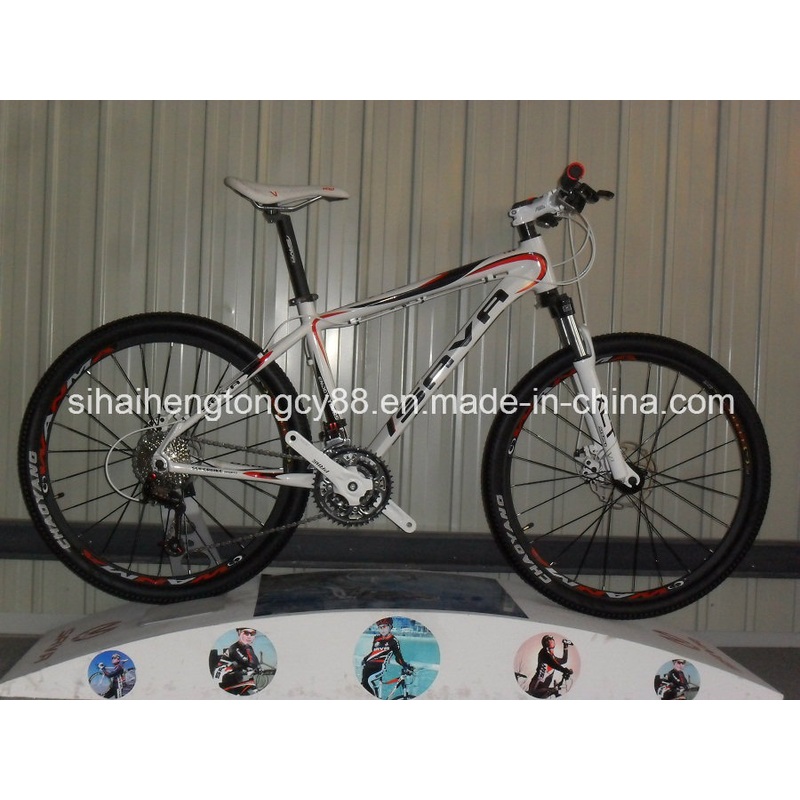 White Popular Alloy Mountain Bicycle with Disc Brakes (SH-AMTB028)