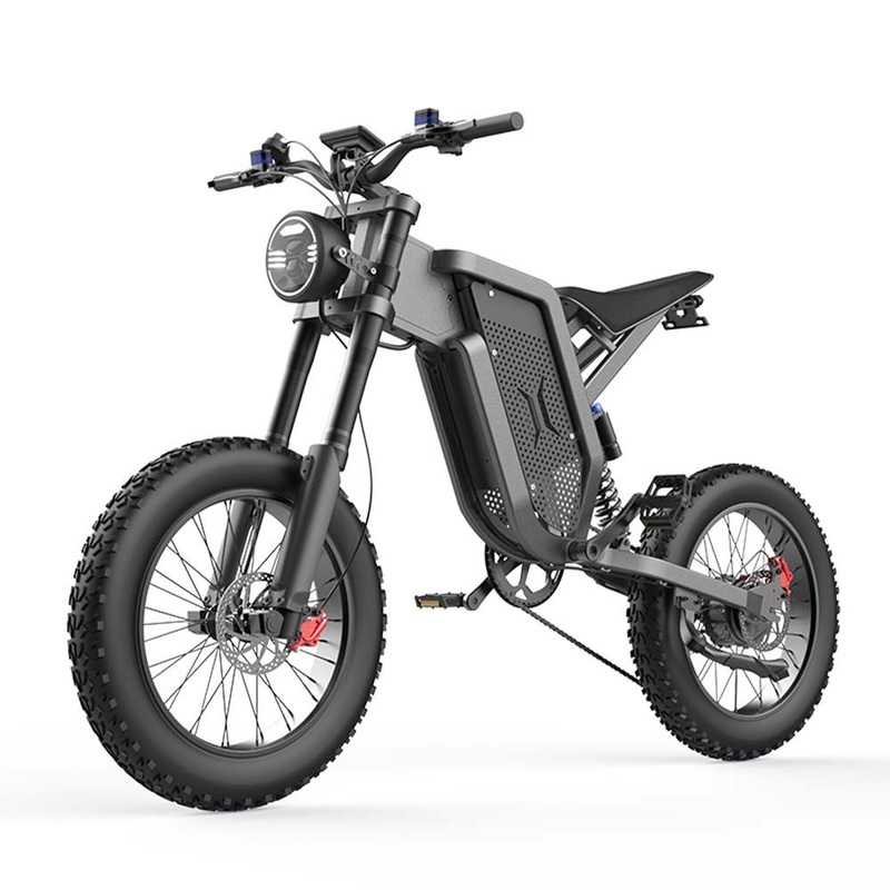 1000W-2000W Aluminum Alloy Electric Vehicle with 120kg Electric Motorbike Electric Bike
