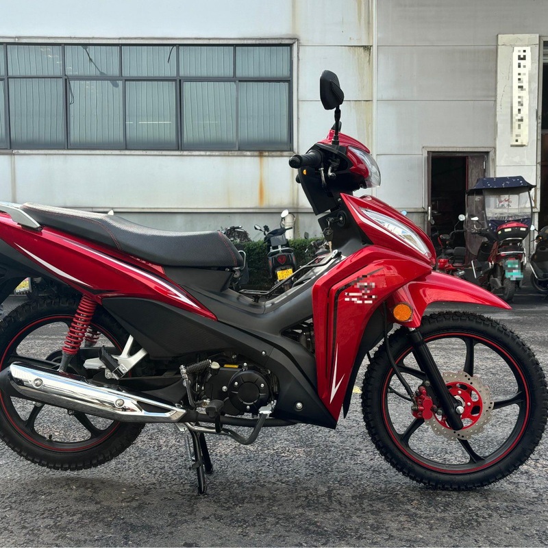 250cc Gasoline Motorcycle Red Sports Motorcycles 4 Stroke Kick Start Sportbikes