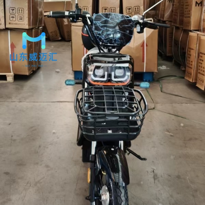 2025 Wholesaler 2 Wheel Factory 350W Big Power Electric Bike Motorcycle for Adults