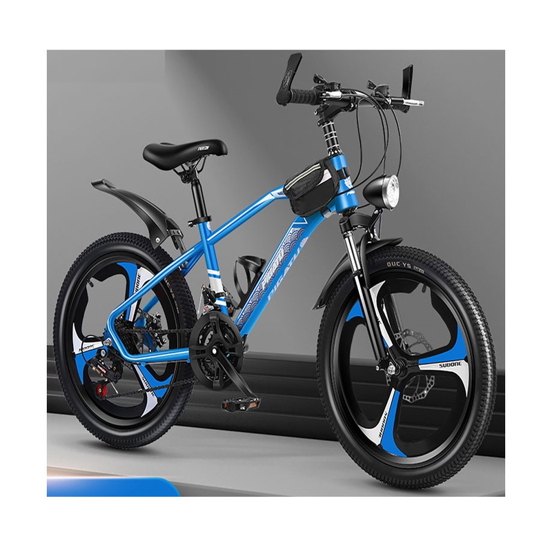 MTB 29 Inch Mountain for Adults Model Mountain / Hot Sale Aluminum Alloy Frame Mountain China