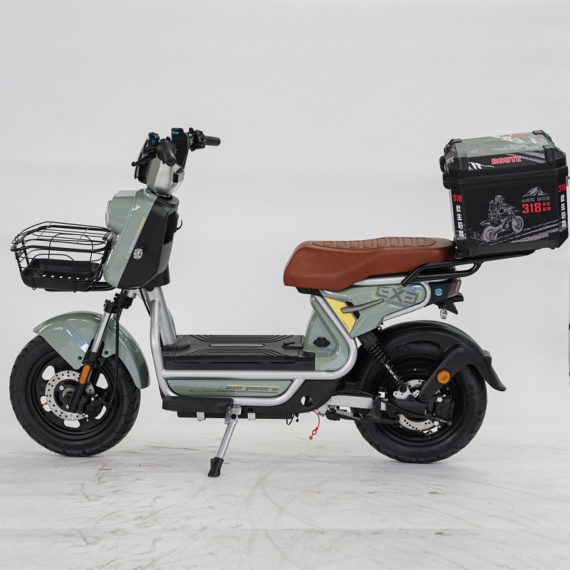Top Sale High Quality 800W 1000W Cargo 20 Inch Electric Food Delivery Bike Scooter Electric Bicycle Street Ebike