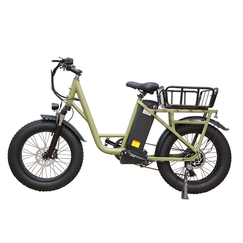 Rear Derailleur 20*4.0 Dual Motor Fat Cycle Ebike Battery Cargo Bike Electric Bicycle