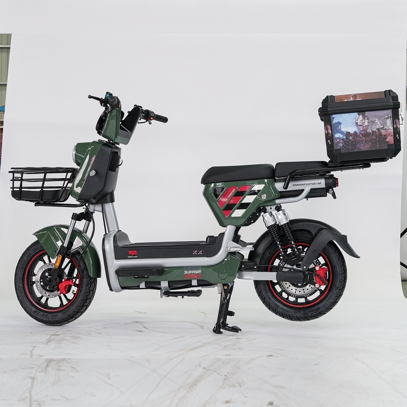 Top Sale High Quality 800W 1000W Cargo Ebike 16 Inch Electric Food Delivery Bike Scooter Electric Bicycle