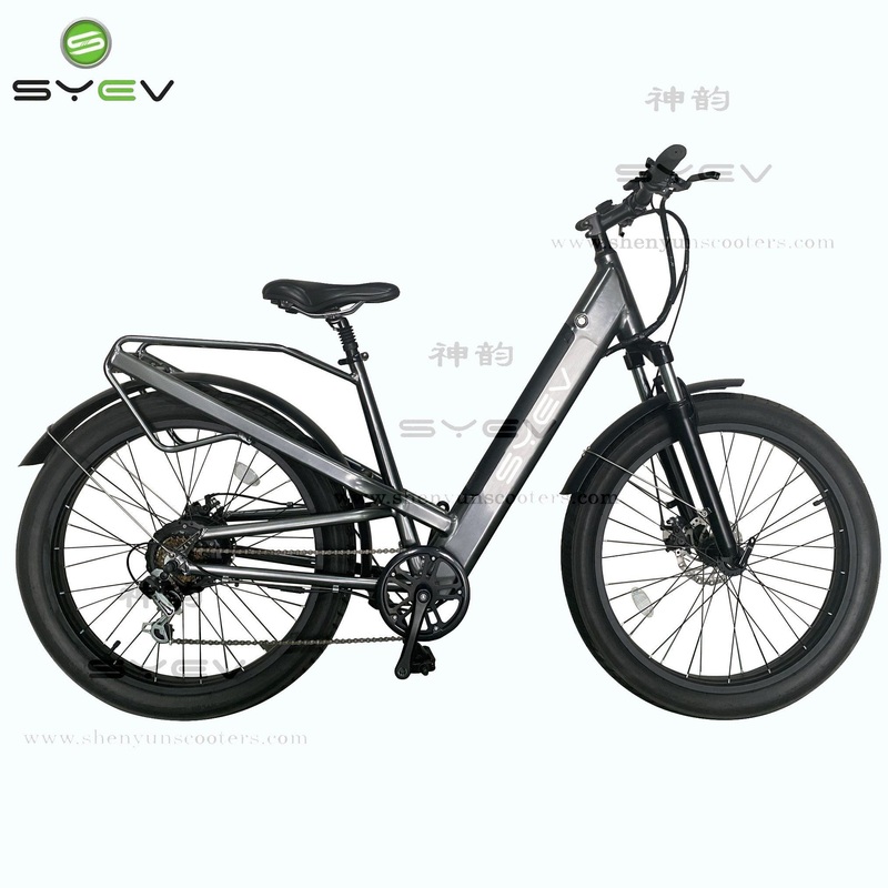 Syev New Design Hot Sale 750W Aluminium Alloy 26 Tyre Electric Bike