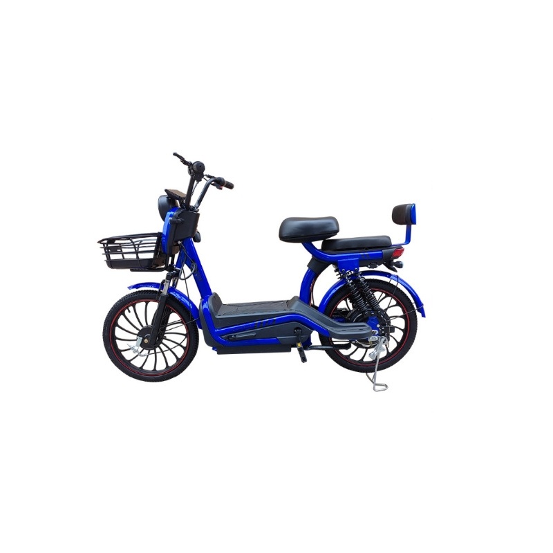 20 Adult Carrige 2 Persons Strong Electric Bike Motorcycle/E-Bike
