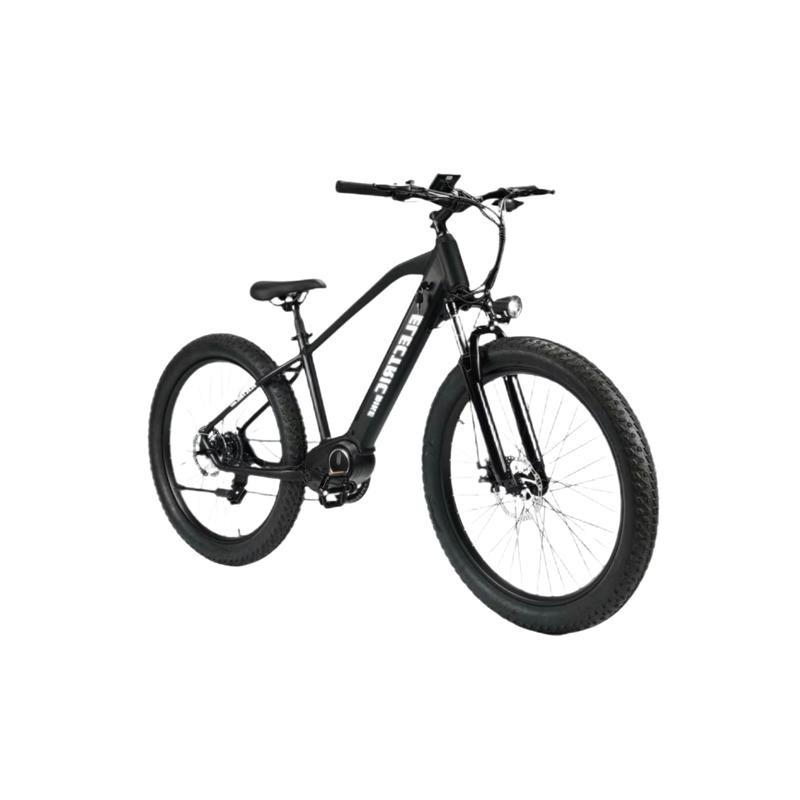 350W 8ah 36V off-Road E-Bike Mountain MTB Electric Bike for Adult Bafang