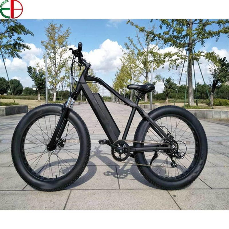 250W Brushless Lithium Mountain E-Bike with Wide Tires
