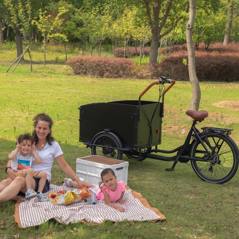Advanced High-Capacity Electric Cargo Trike for Families, Reinforced Steel 3-Wheel Trailer Design, Kid-Safe Adult Electric Tricycle for Eco-Conscious