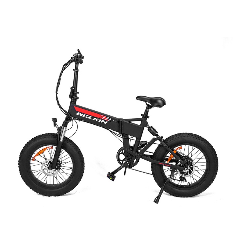 20 * 4.0 Folding Electric Bicycle 250W Brushless Motor Disc Brake 7 Speed Electric Bike
