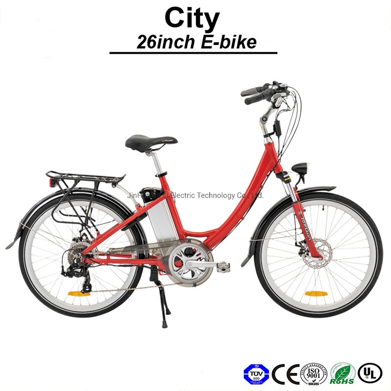 26inch Pedelec E Bike Motor Brushless E-Bicycle Electric Bike Electric Bicycle (TDF02Z)