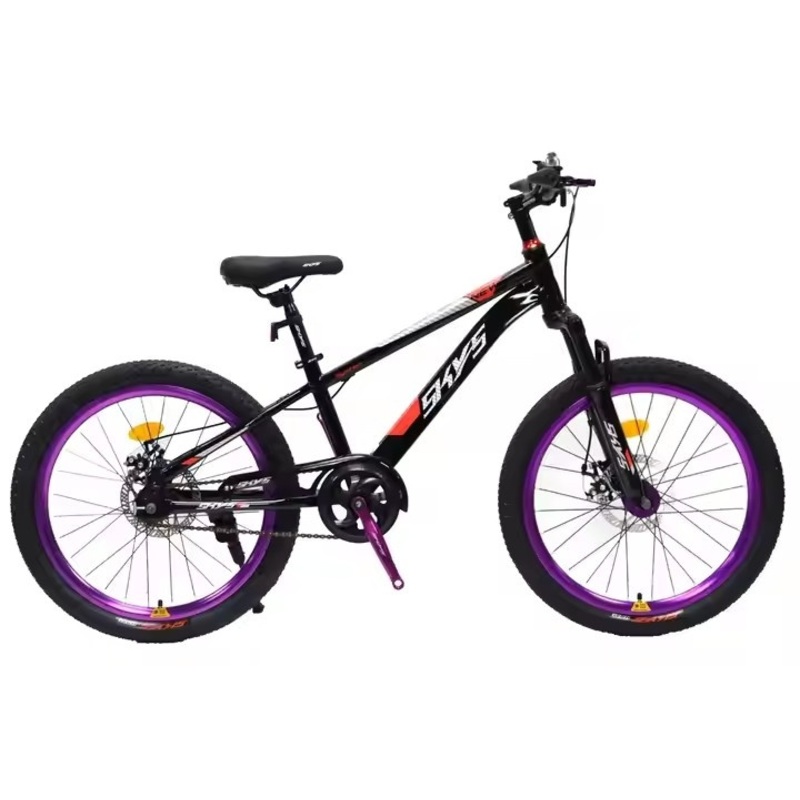 Student Mountain Bike with Disc Brake