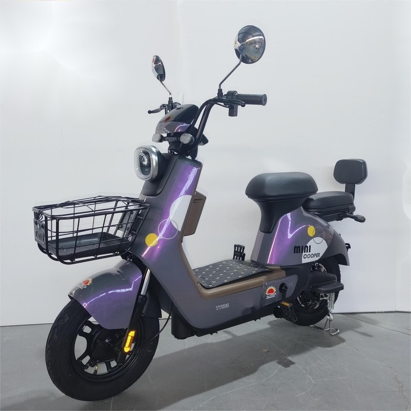 Willstar Ty568 Electric Bike with High Quality Material and Brand Battery