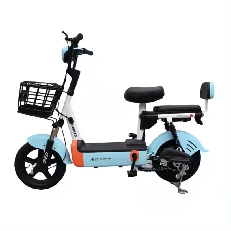 Urban Leisure Electric Vehicle 48V Two Wheeled Adult Electric Vehicle, Two Person Portable Electric Scooter, Electric Bicycle