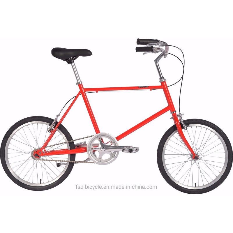 20 Steel Frame Single Speed City Bike OEM