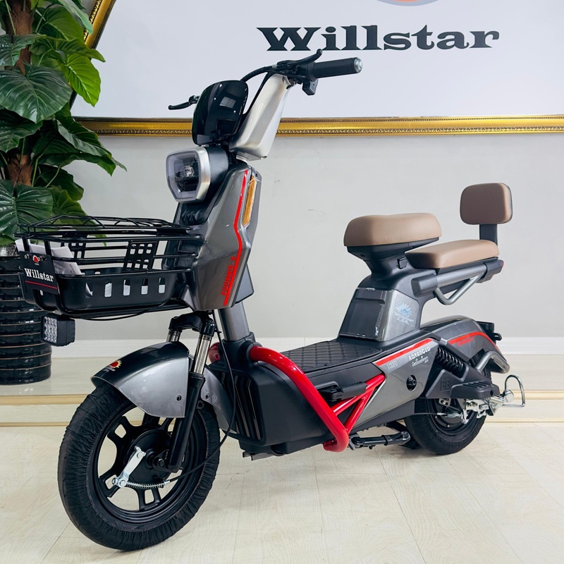 Willstar Electric Bicycle Ty578 with CE Certificate High Quality Gurantee for Sale