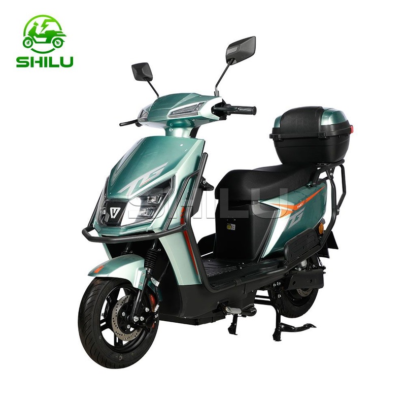 1000W Electric Urban Bike Full Suspension Ebike 10inch Adults E-Bike Retro Motorcycles
