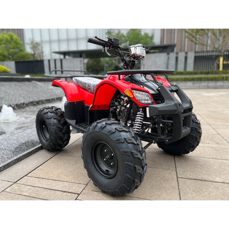 125cc Adult ATV Quad Bike  Factory Direct, CE Certified, Semi-Automatic Auto Reverse