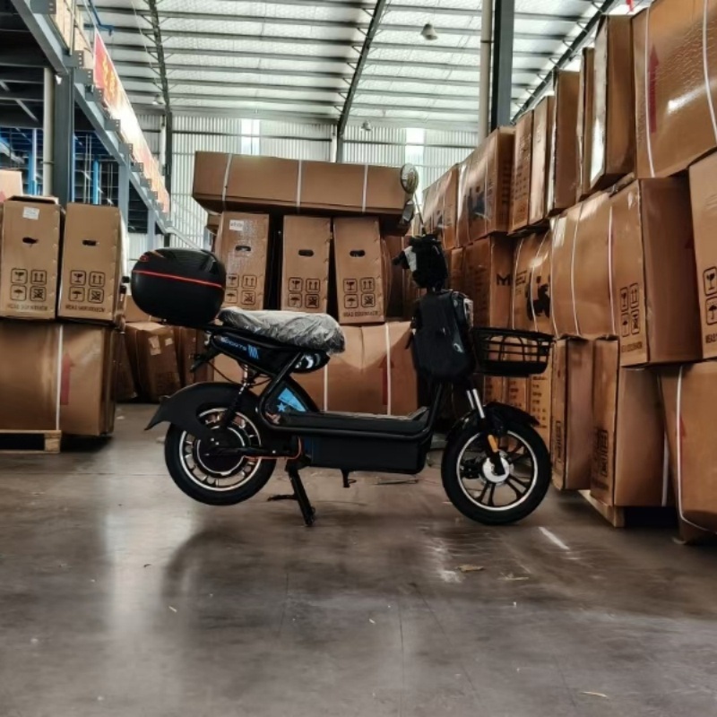 16 Inch Powerful Electric Bike 48V 20ah Electric Bicycle