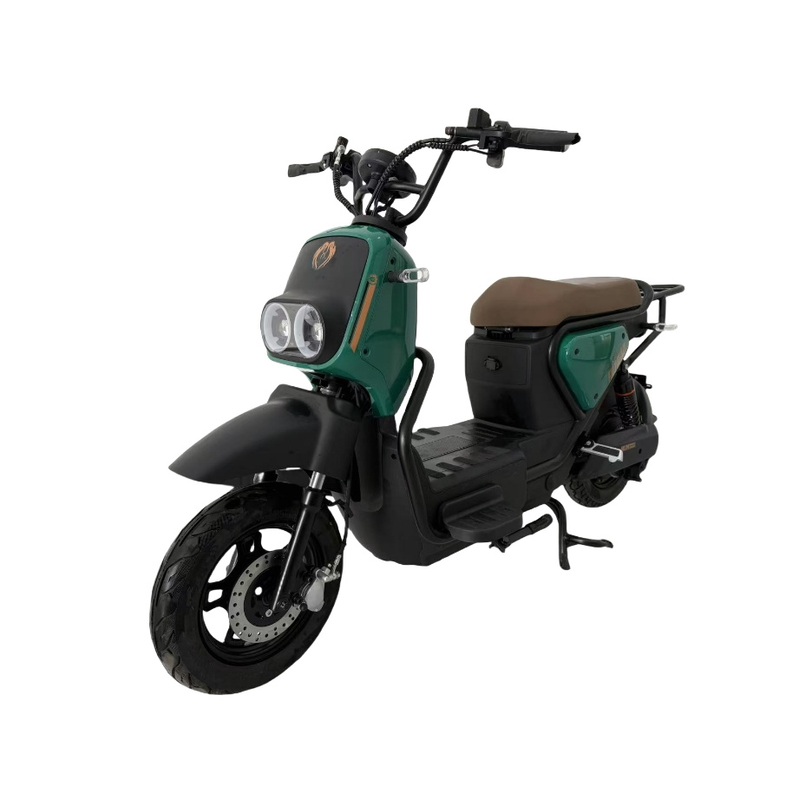 Professional 48V/60V Electric Cycle with Hub Motor – Foldable Big Wheel E-Bike for Adults & Kids/Children, Delivery & Commuting, Including Conversion Kit