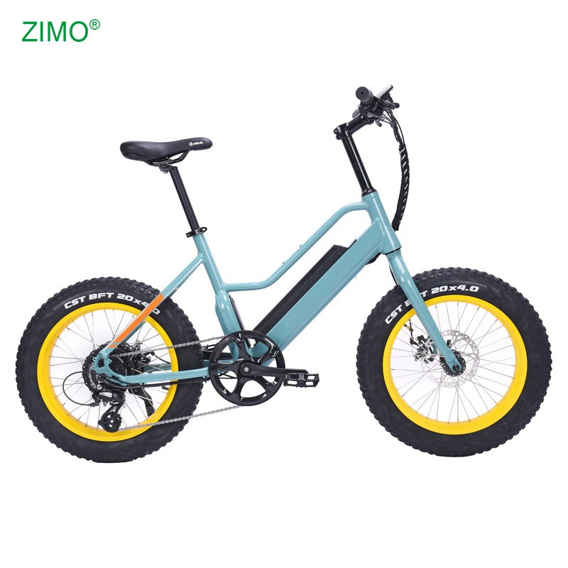 2025 Customized Pedal Assist Electric Bike 48V 750W Fat Tire Electric Bicycle