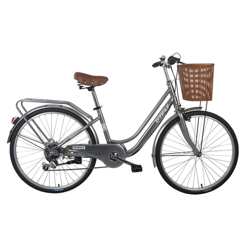Vintage Classic Old Style Lady Bicycle with Basket