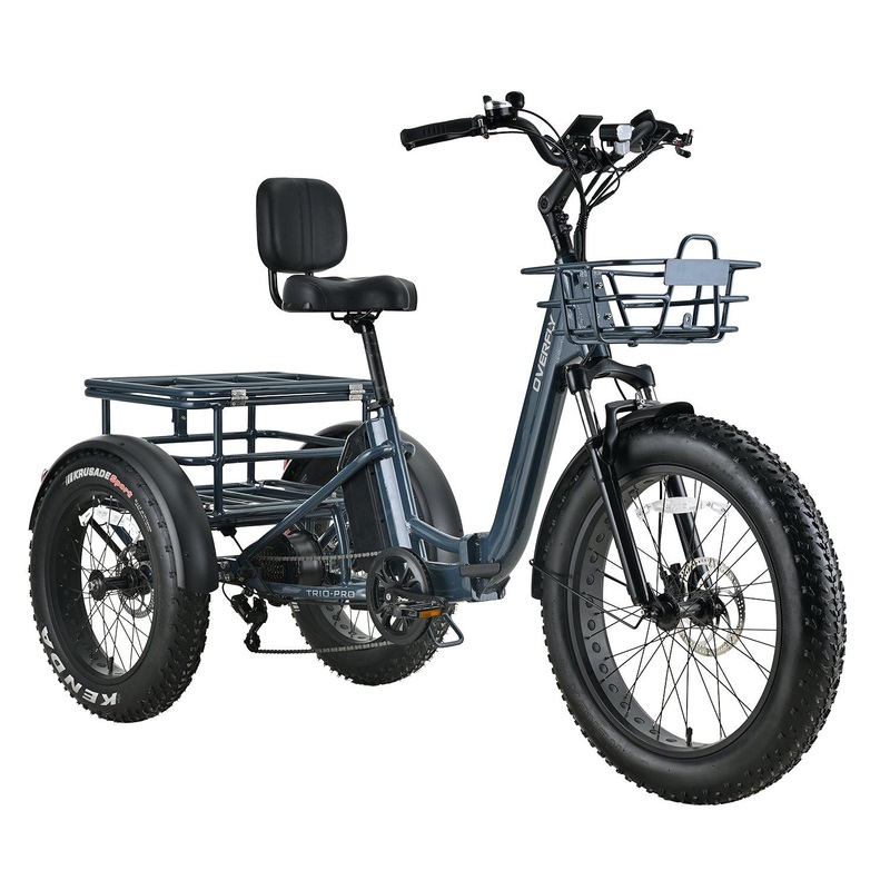 Trio-Lite Foldable Three Wheel 48V 250W/500W Rear Motor Electric Cargo Bike Reversing Function