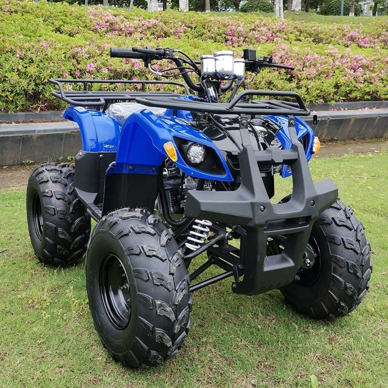 125cc 4-Speed Semi Automatic ATV  Electric Start, Air-Cooled, 4-Stroke, CE Approved  Easy-Ride off-Road Quad Bike
