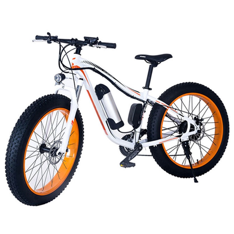 36V 350W Wide Tire Electric Bike Mountain Bicycle Fast Electric Motor Bike
