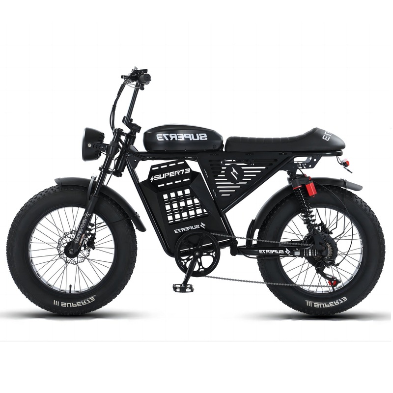 48V 500W 35ah 52ah 200km Cheap Adult Electric Mountain Bike Road off Road 20 Inch Fat Tire Electric Mountain Bike