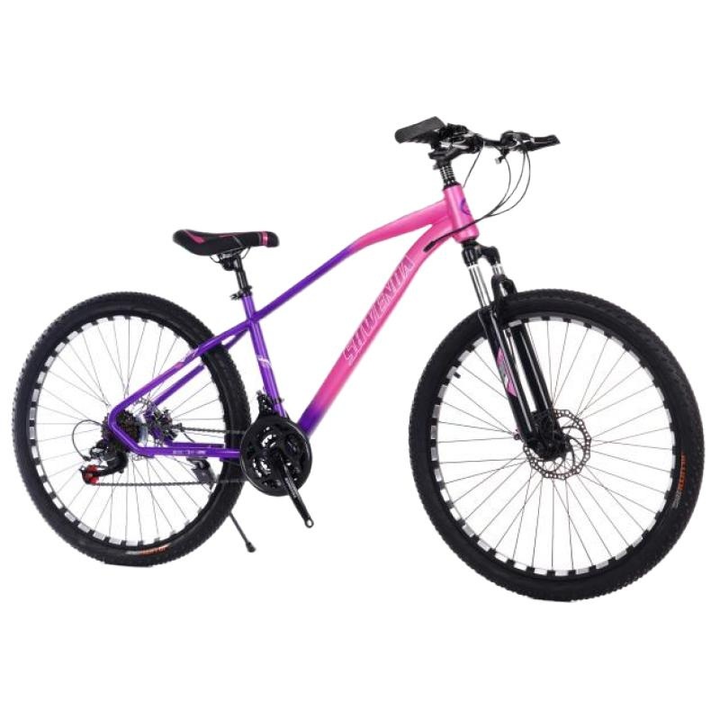 20” Carbon Steel Bike, Aluminium Alloy Handlebar and Mechanical Disc Brakes
