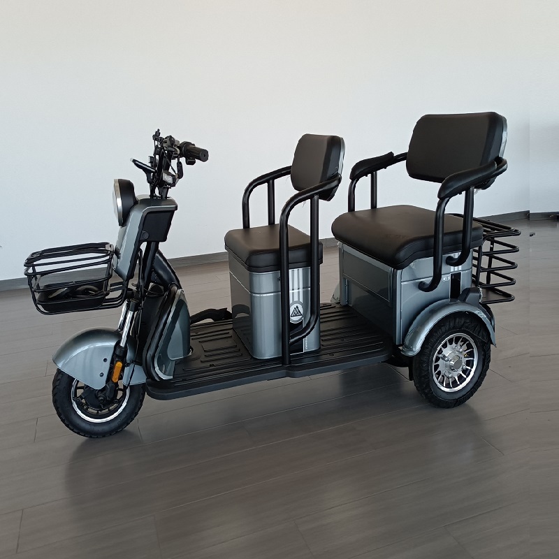Triciclo Electrico 3 Wheels 14 Inch Passenger 800W 60V E-Bike Electric Tricycle