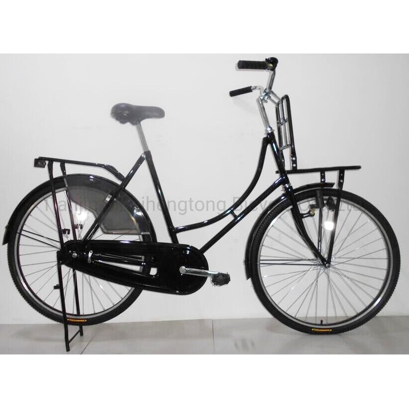 28inch Steel Cheap Oma Bike with Double Carrier Dutch Bike