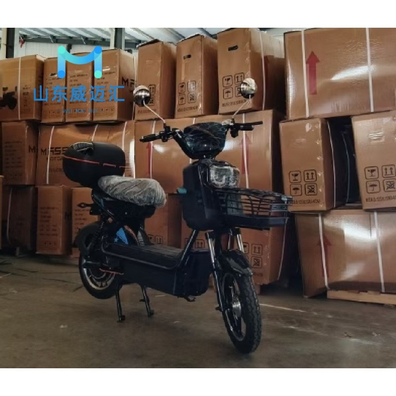 Wholesale Price 350W Adult off Road 2 Wheels Electric Bike From China