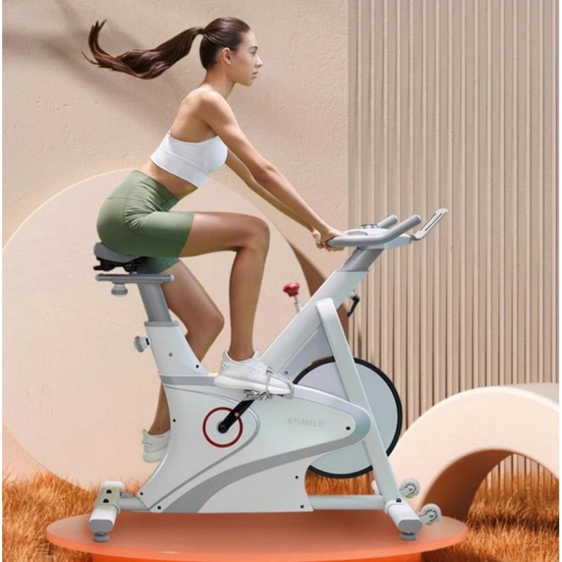 Wholesale Market Price Home Cycling Dynamic Indoor Spin Stationary Self Powered Bicycle Fitness Exercise Spinning Commercial Bike