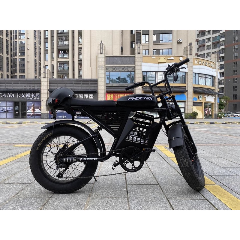 48V500W 20X4 Inch Wide Tire Electric Mountain Bike off-Road Lithium City Bike