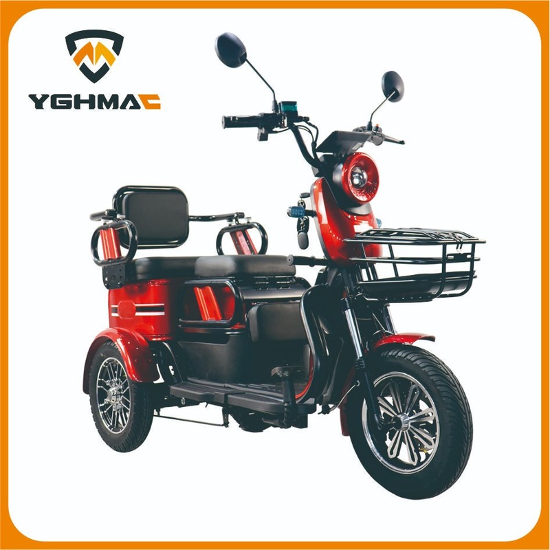 Sample Available Tricycle Electric Bike Motorcycle Dirt Bike for Adults LED Display