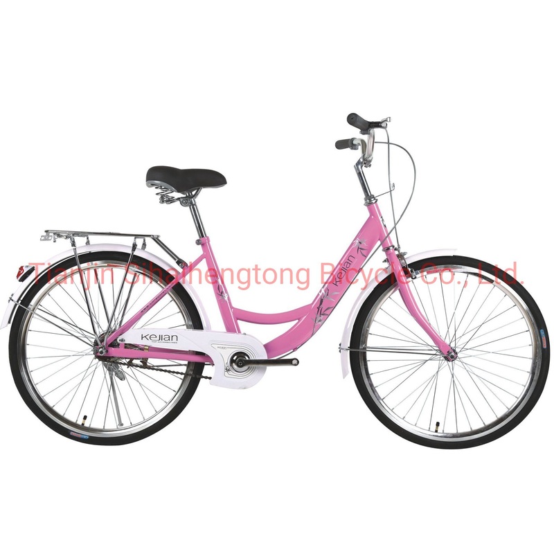 24inch Steel Cheap Bike for Women