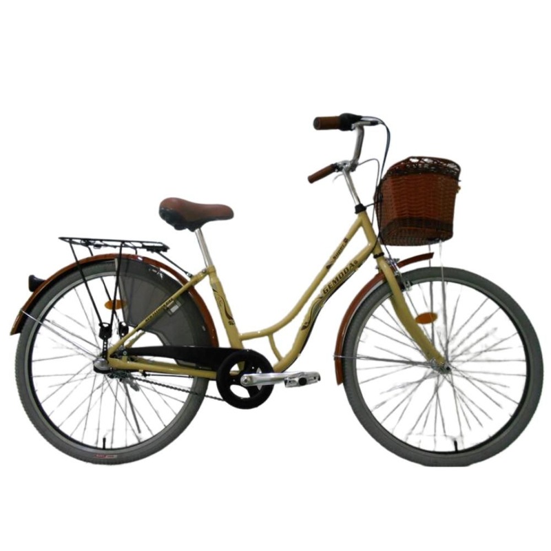 26 3 Speed Steel City Bicycle/Bike/Cycle Adult Lady Cycle CKD for Women