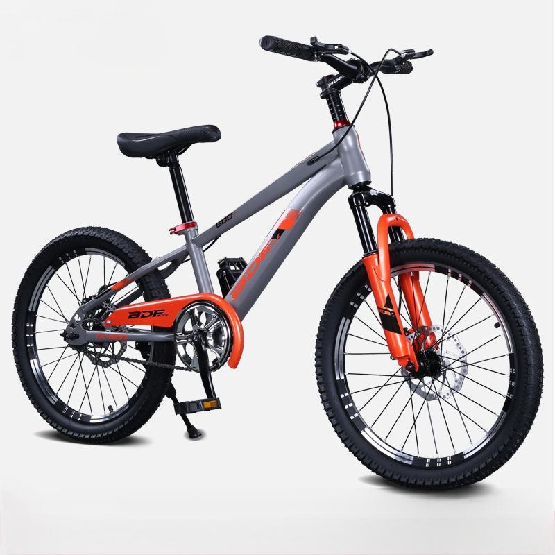20/22 Inch Children’s Mountain Bike