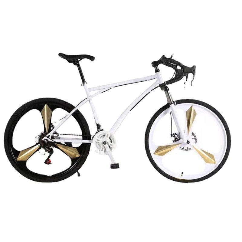 2025 Leisure Sports Outdoor Bike Road Solid Tire Road Bike